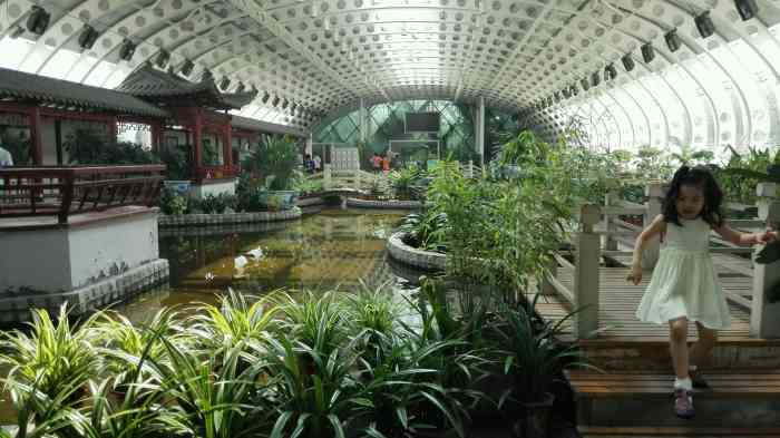 泰达热带植物园-"这个热带植物园开的真的是有些年头!