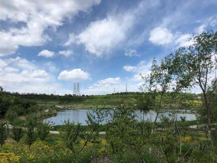 西郊砂石坑公园"今天又来到这里,因为刚下完雨,这里的空气.