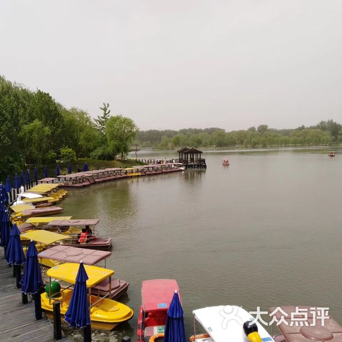 汉石桥湿地公园