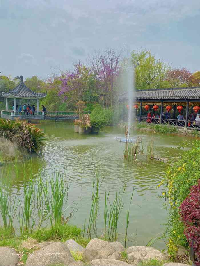 武汉紫薇都市田园-"紫薇都市田园,风景真的很美,我去.