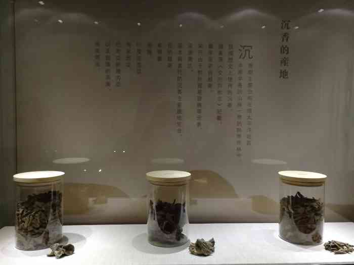 天津沉香艺术博物馆-"在点评上搜的附近找到的这里,从