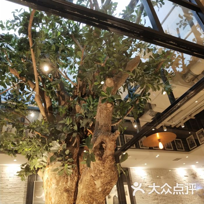 大树餐厅(柏威年购物广场店)图片 第2张