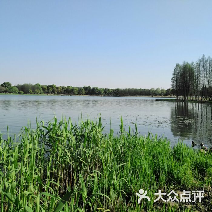 东沙湖生态公园