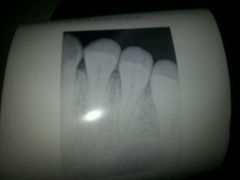 长海医院口腔科(图)-上海-第页