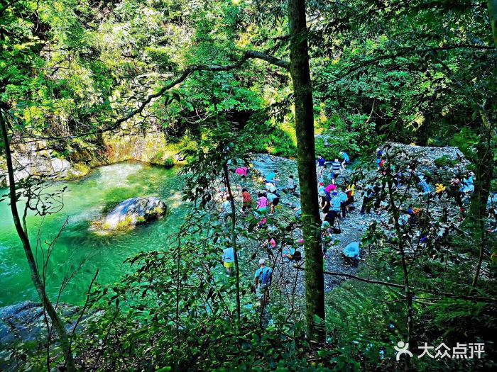 九华神龙谷景区图片 - 第5张