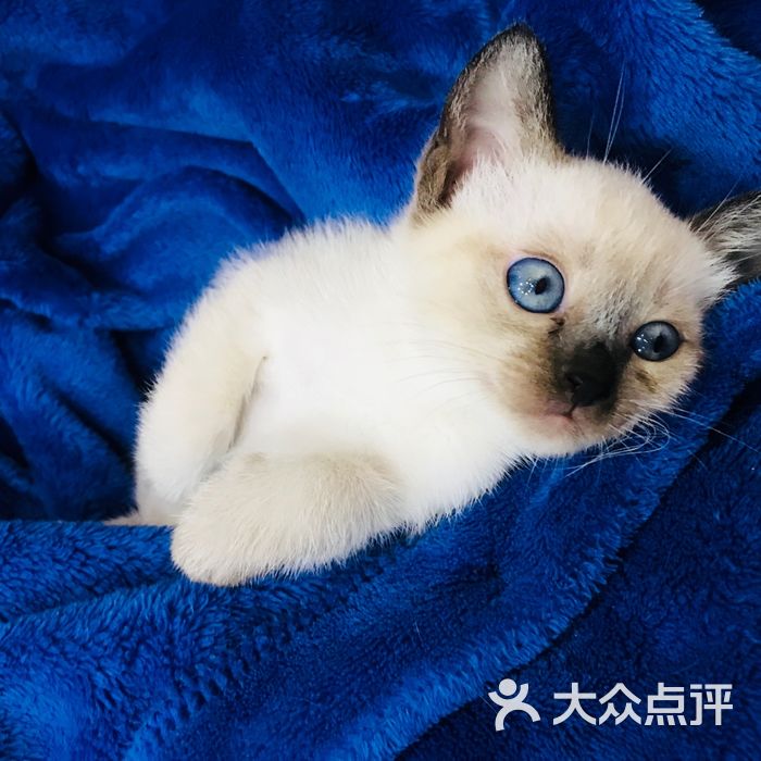 西南民族大学动物医院