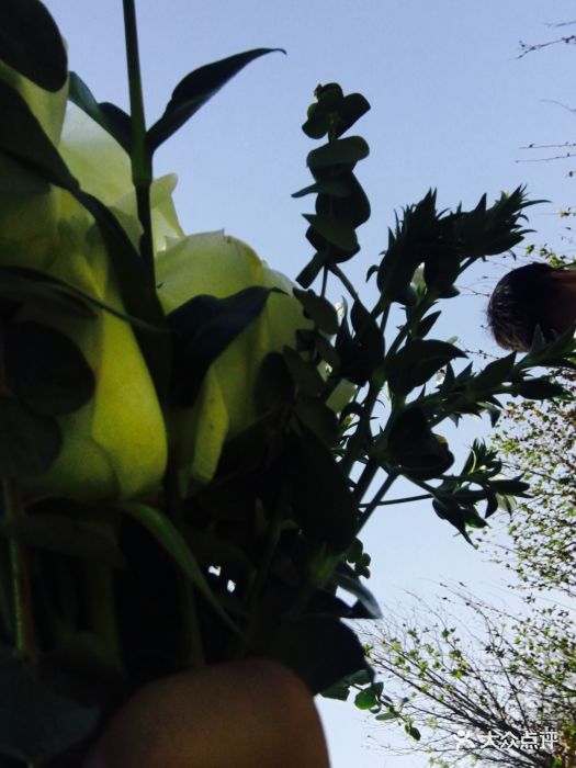 城市阳台位于灵山湾旅游度假区核心区,是青.