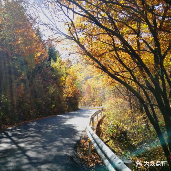 岗山国家森林公园图片 第5张