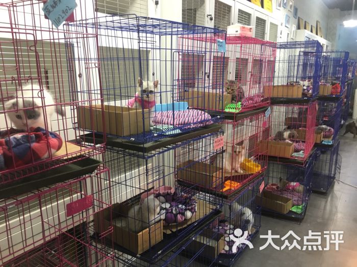 欢享家宠物店图片 - 第10张