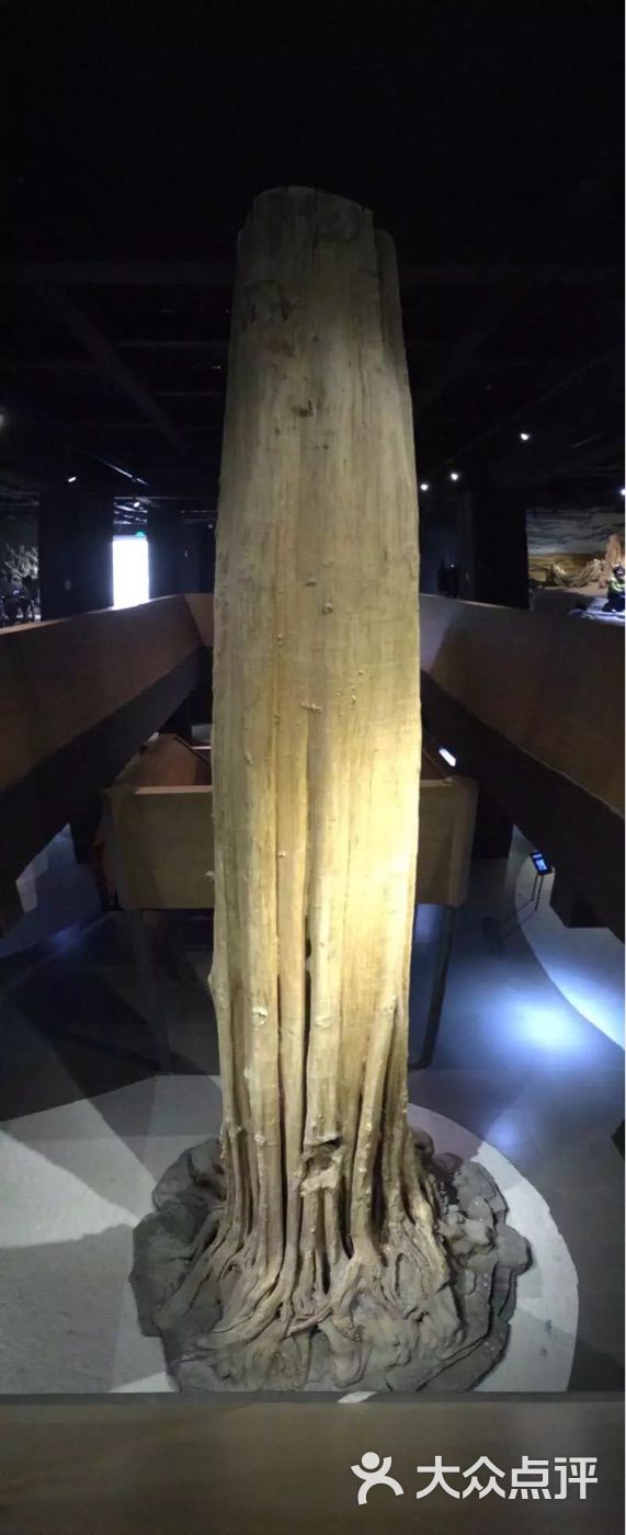 上海木文化博物馆-图片-上海周边游