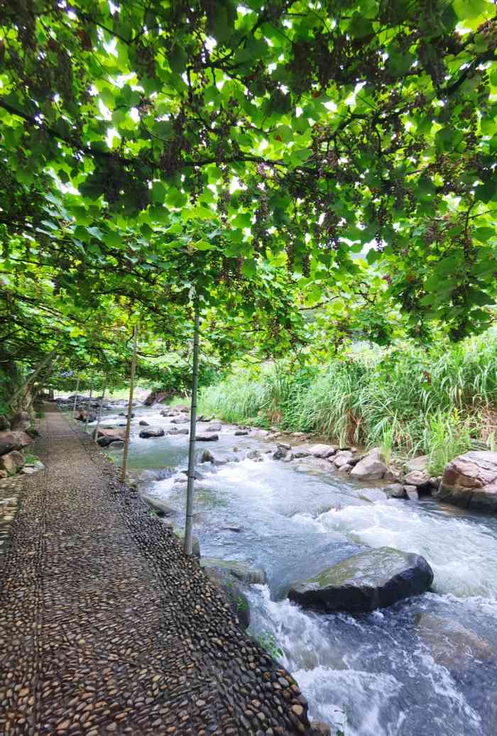 葡萄沟景区"国庆长假结束准备从宁德回厦门啦,中途看见.