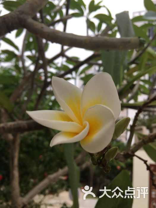 亚龙湾壹号小镇奥特莱斯-图片-三亚购物