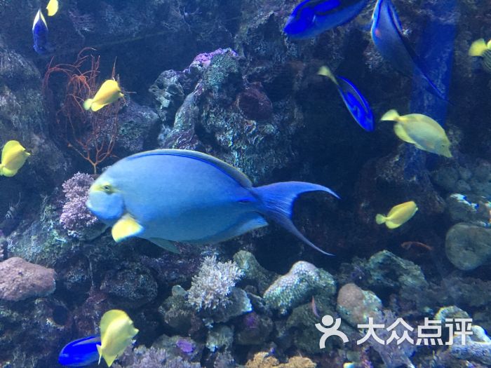 大连老虎滩海洋公园