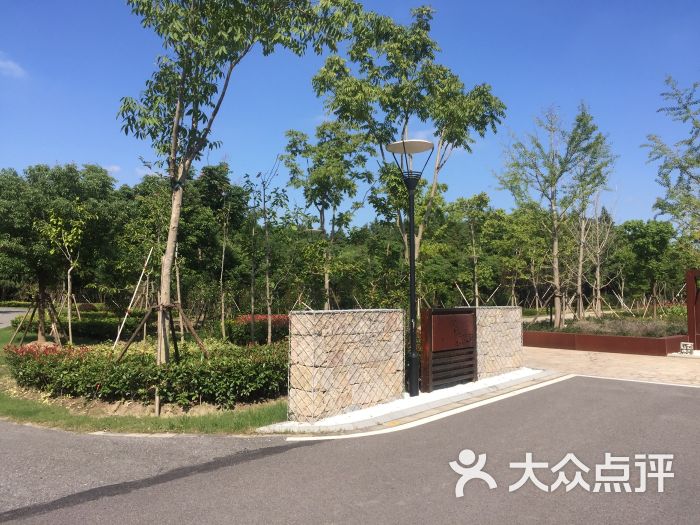 康桥生态园沔青绿地图片 - 第14张