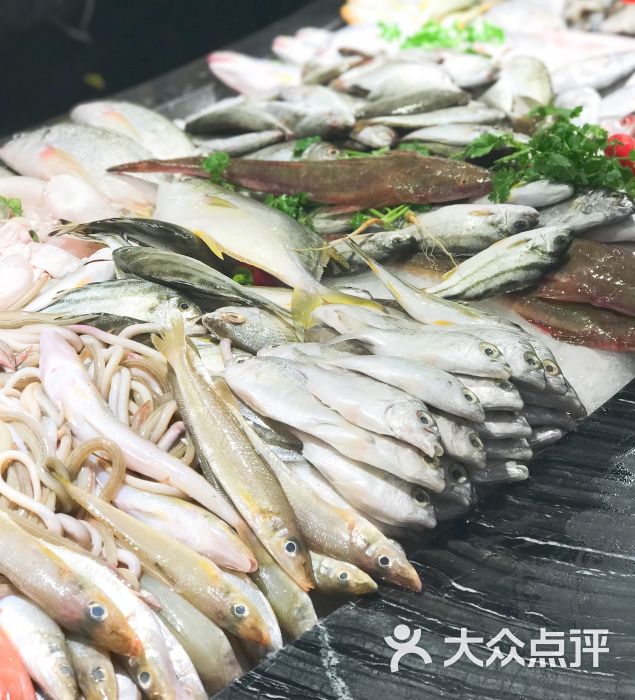 海门鱼仔店(珠江道广场店)图片 - 第1001张