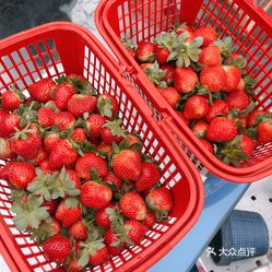 【欢乐草莓园】电话,地址,价格,营业时间(图) - 