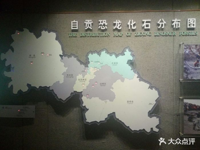 自贡恐龙博物馆图片 第5张