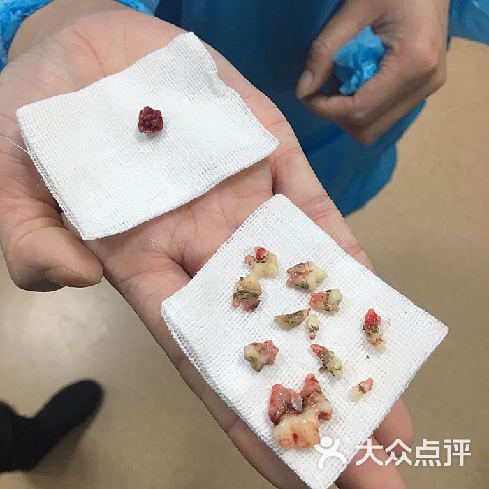 芭比堂动物医院(朝阳北路分院)-图片-北京宠物