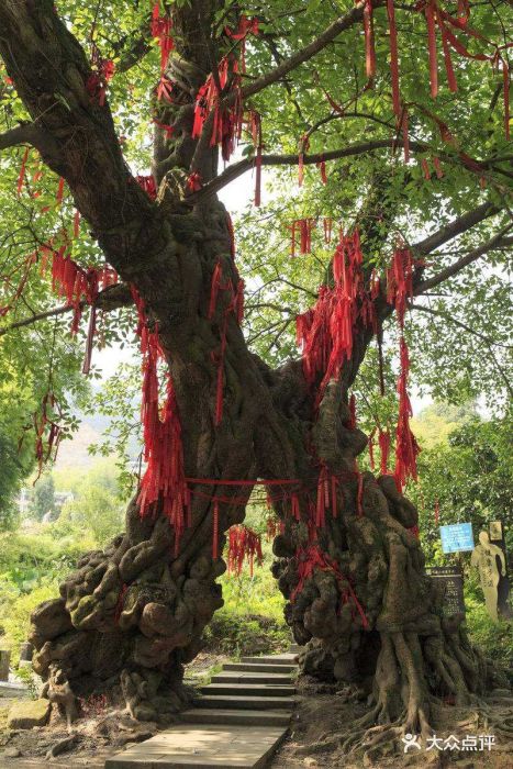 黄桷门-图片-铜梁区生活服务-大众点评网