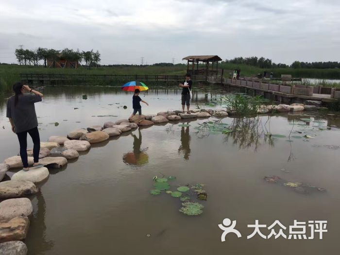 杭州湾湿地公园图片 - 第6张