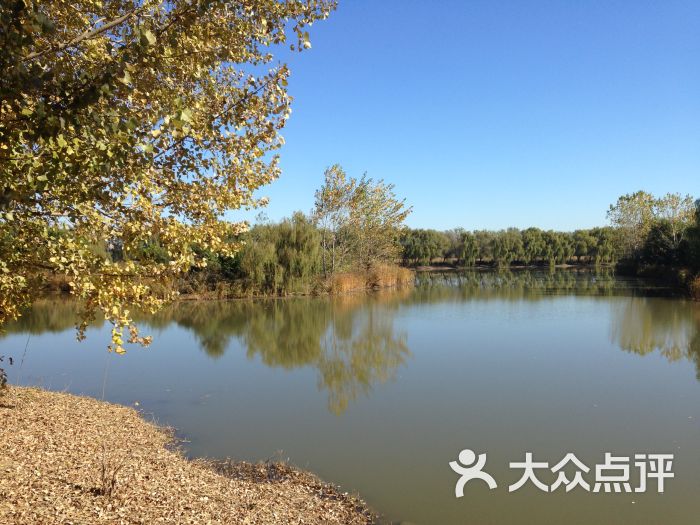 汉石桥湿地公园图片 - 第1027张