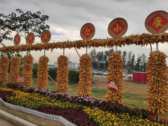 爱思嘉农业嘉年华-"年前在某平台上买的民宿等着天带