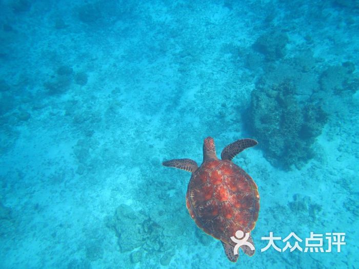 斯米兰岛-图片-普吉岛景点