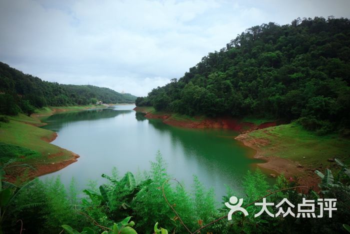 华丰孔雀湖酒店-图片-芒市酒店-大众点评网