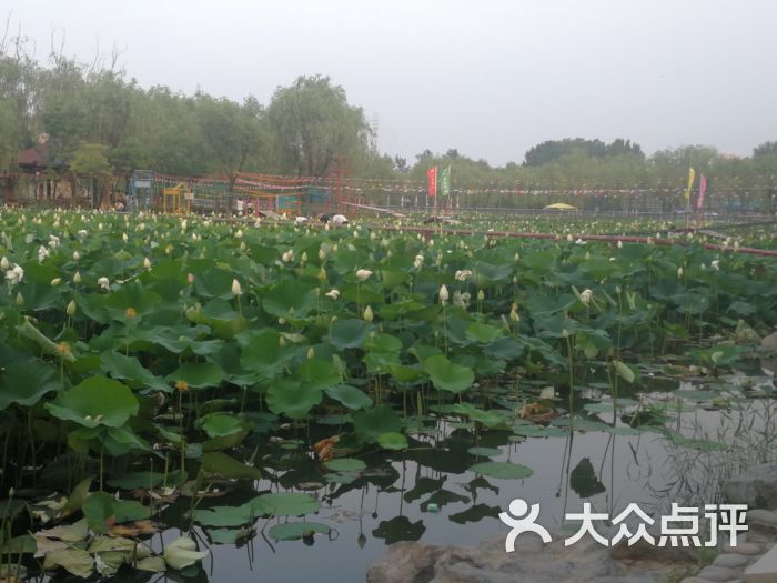 蟹岛绿色生态度假村图片 - 第2张