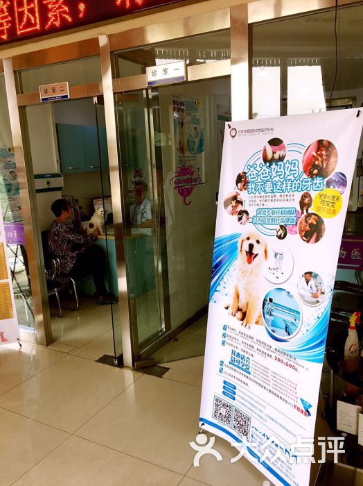 北京宠爱国际动物医院-图片-北京宠物