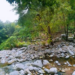 自然景观  曲江区  小坑国家森林公园249_249