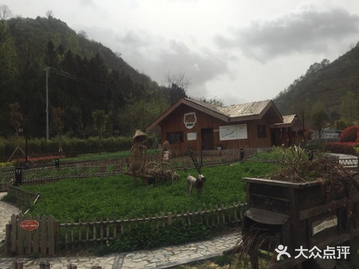 童话磨石沟-图片-镇安县亲子-大众点评网