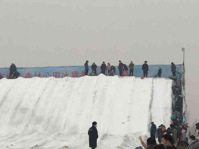 城市绿心森林公园冰雪嘉年华