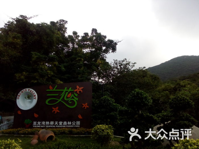 亚龙湾热带天堂森林公园-兰花谷图片-三亚景点