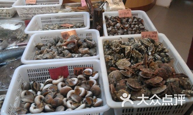 海鲜品种大全_海鲜面_海鲜品种图片