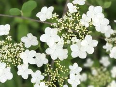 西安电子科技大学南校区大学生艺术团-图片-x