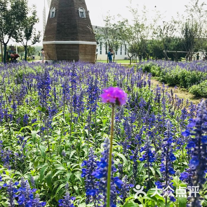 蓝调庄园图片-北京其他景点-大众点评网