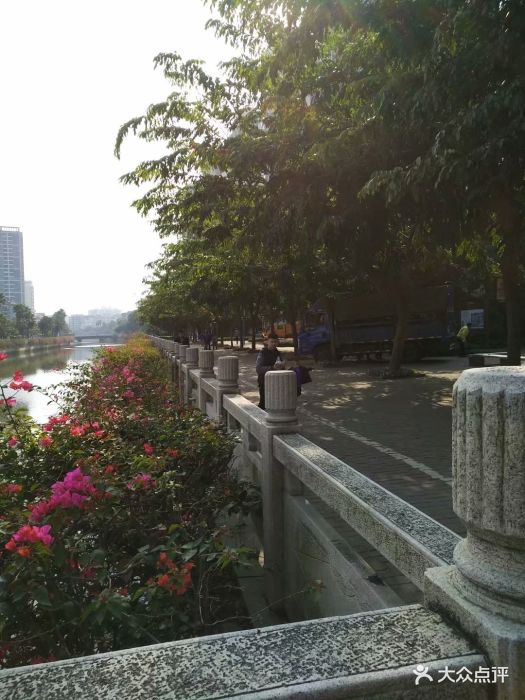 北桥公园-图片-湛江周边游-大众点评网