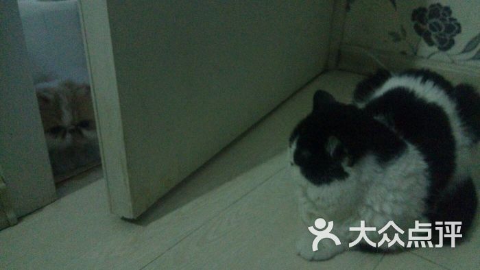 金育游泳馆-图片-长春运动健身-大众点评网