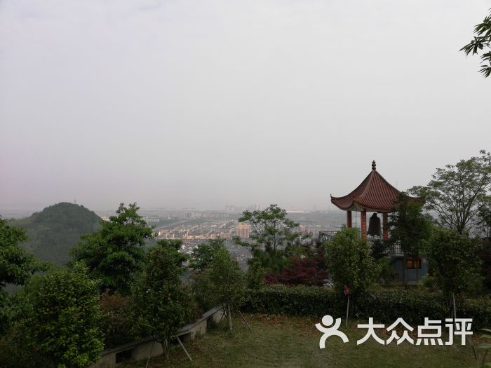 鲤龙潭森林公园-图片-象山周边游-大众点评网