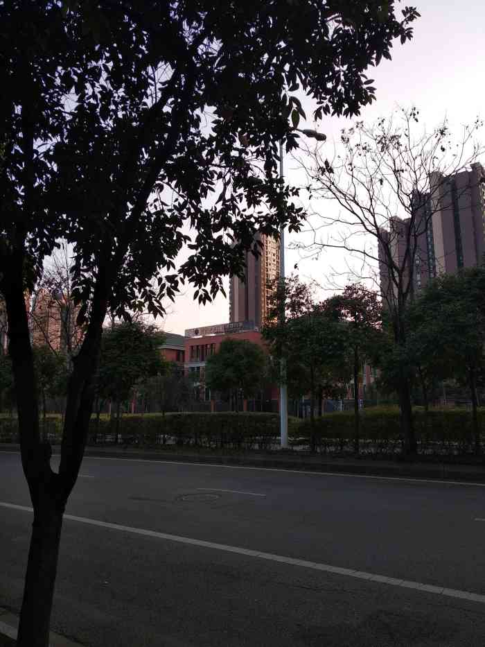 成都市锦江区银杏小学-"这个小学是锦江区新建的小学