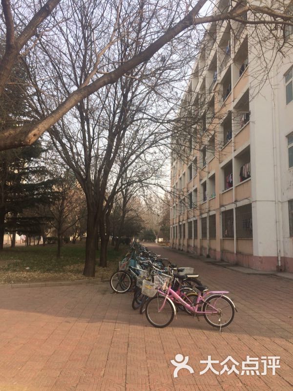 青岛农业大学(西苑校区)图片 - 第16张