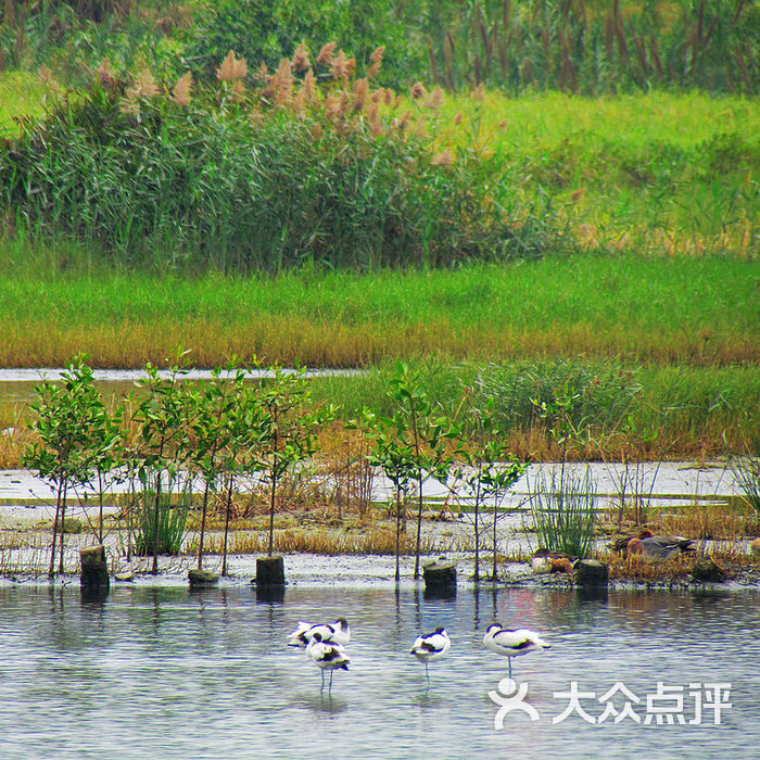 华侨城湿地公园