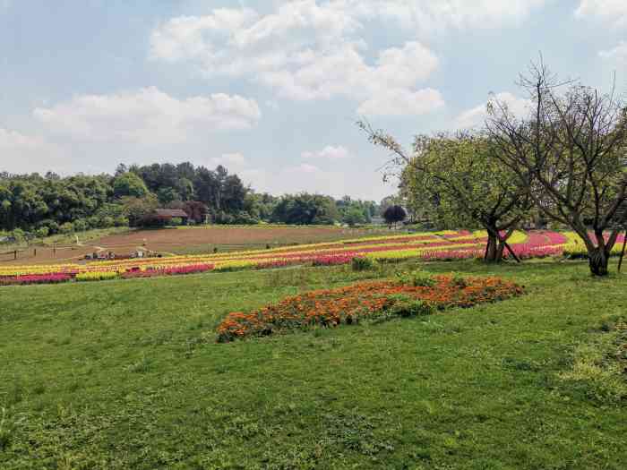 石象湖-"石象湖生态风景区位于蒲江县成雅高速公路8.