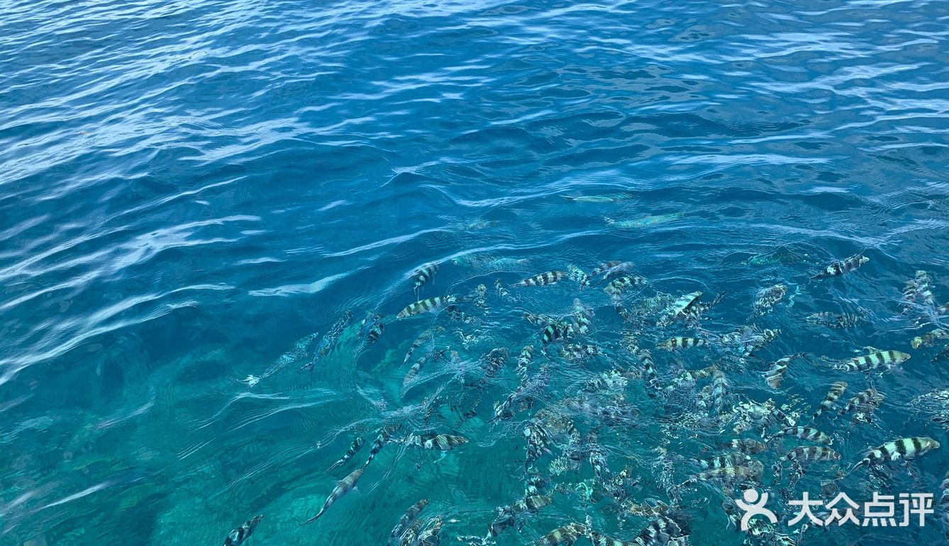 海水是挺干净.可是我怕晒.吃的没也什么好吃的