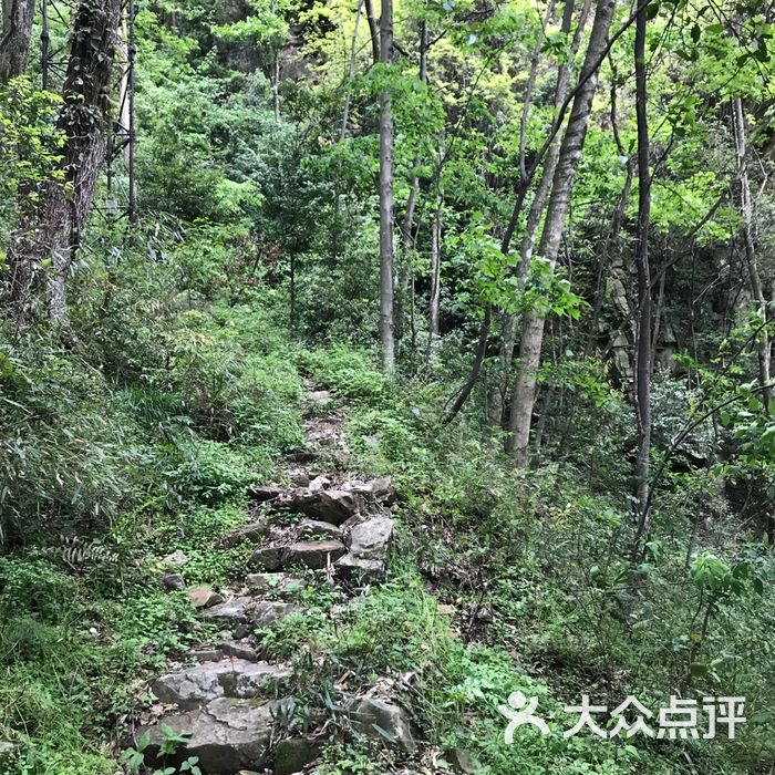 乱窜坡