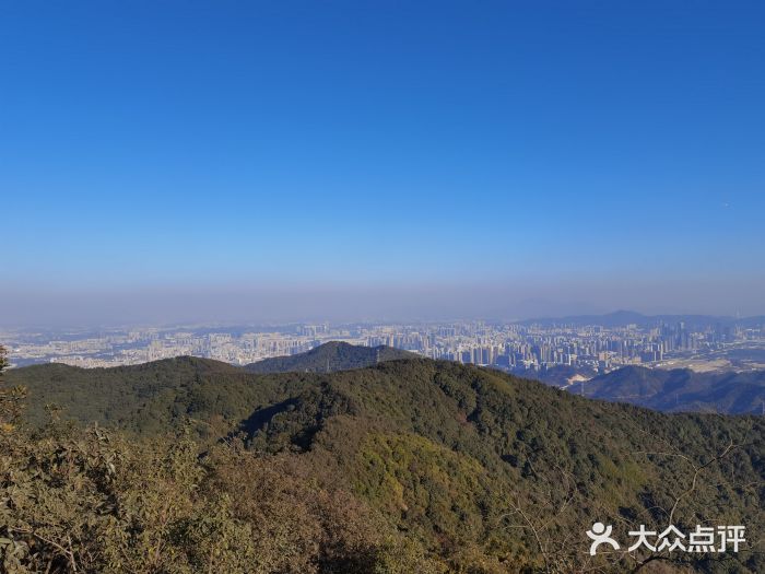 阳台山森林公园-图片-深圳景点/周边游-大众点评网