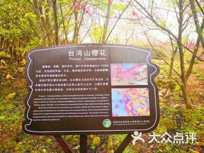 福州灵石山国家森林公园图片 - 第11张