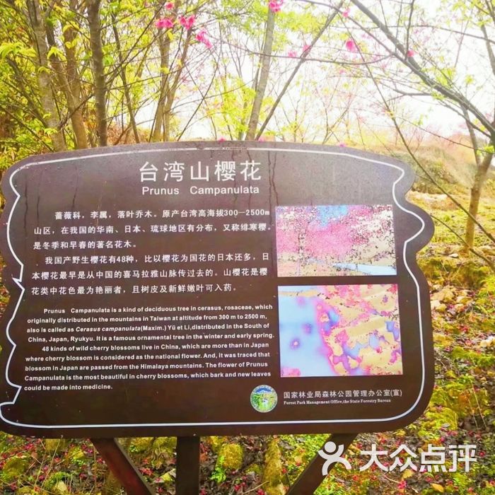 福州灵石山国家森林公园