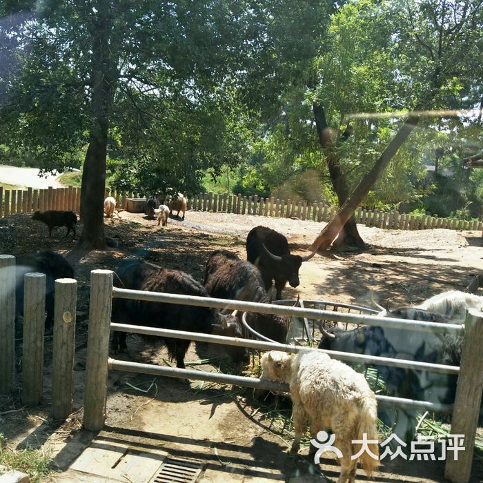 长沙生态动物园
